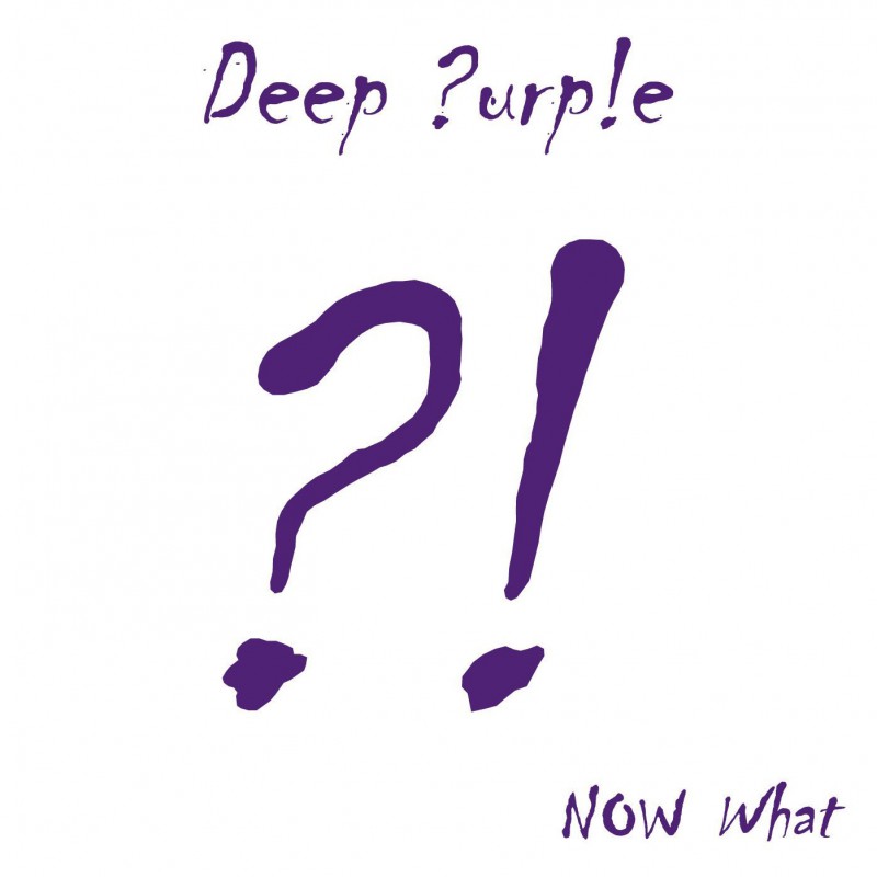 dp_nowwhat_800